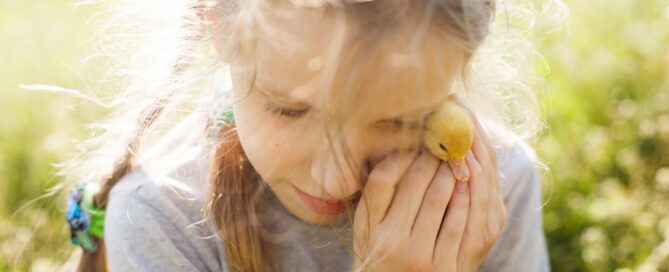 A girl with braided hair gently holds a small chick close to her face in a sunlit outdoor setting.