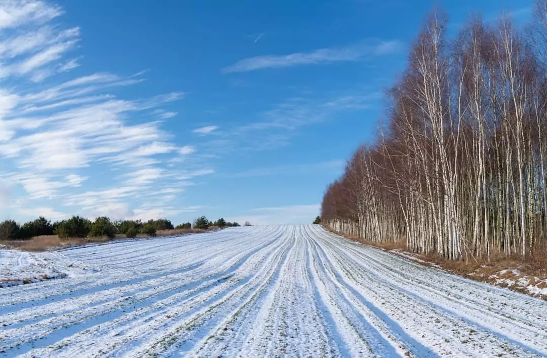 Photo Courtroom scene