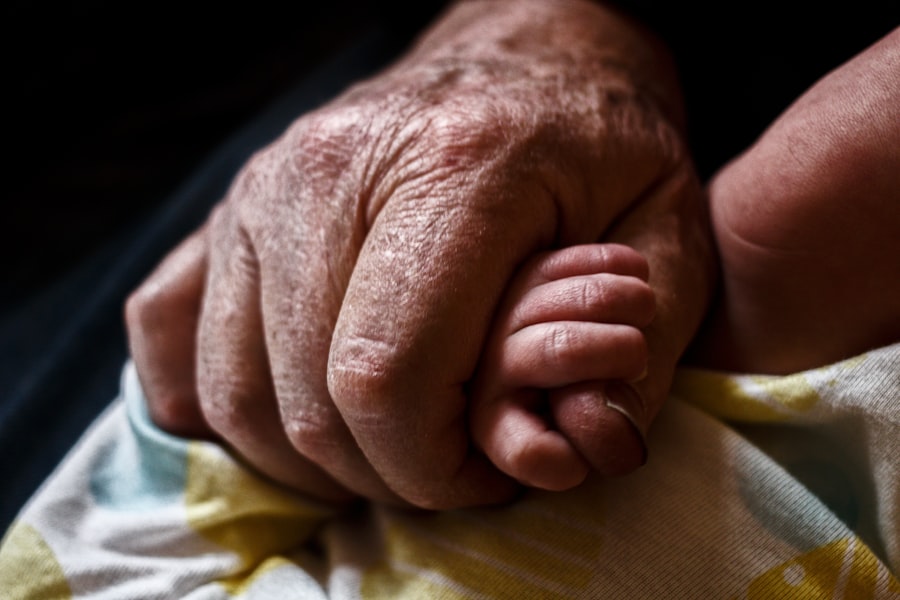 Photo Grandparents custody rights