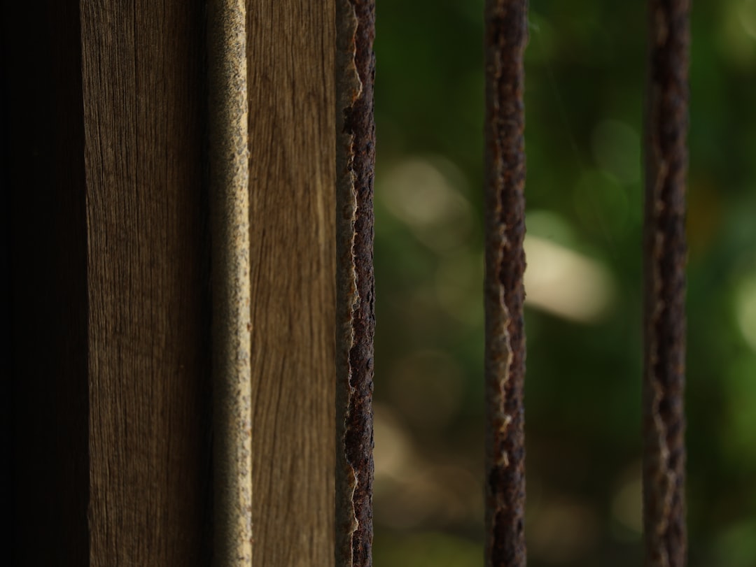 Photo criminal defense