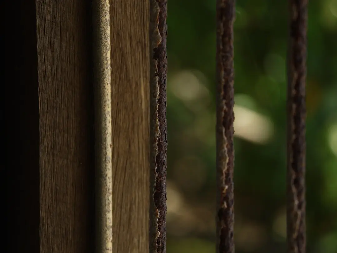 Photo criminal defense