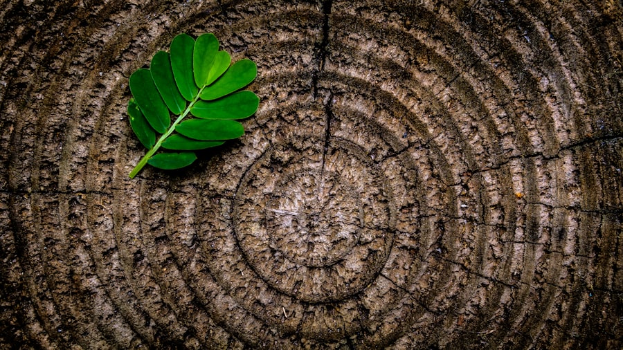 Environmental law compliance