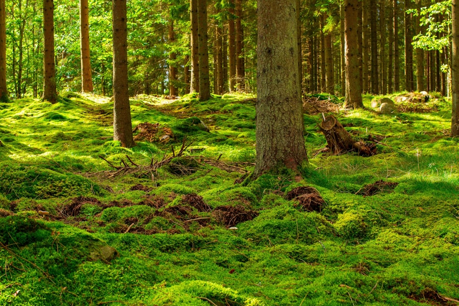 Photo Environmental law compliance
