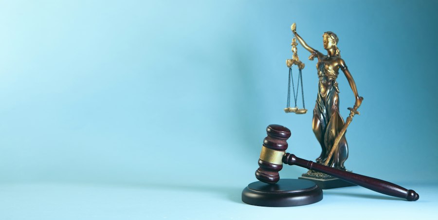 Photo legal advice